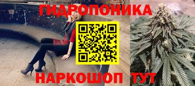 гашик Кулебаки