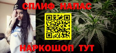 гашик Кулебаки
