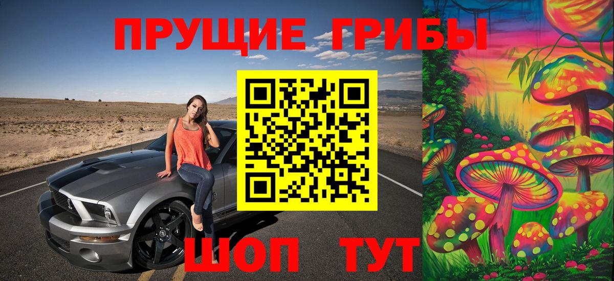 Псилоцибиновые грибы GOLDEN TEACHER Коломна