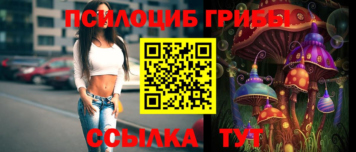 Псилоцибиновые грибы GOLDEN TEACHER  Псилоцибиновые грибы Magic Shrooms  Вход с VPN  Коломна 